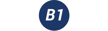 B1