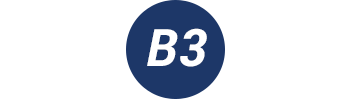 B3